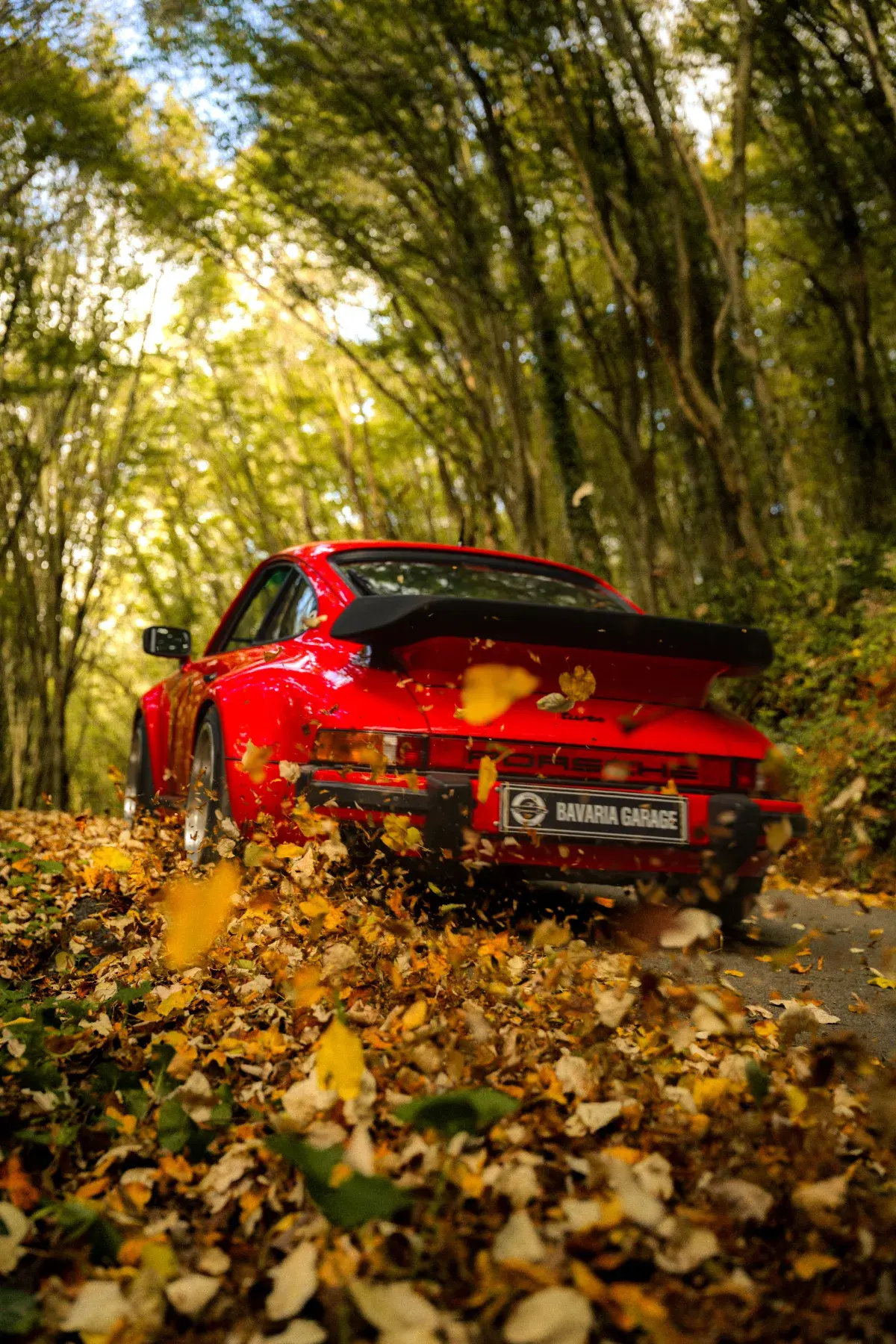 Kırmızı Porsche 930 Turbo sonbahar arka görünüm