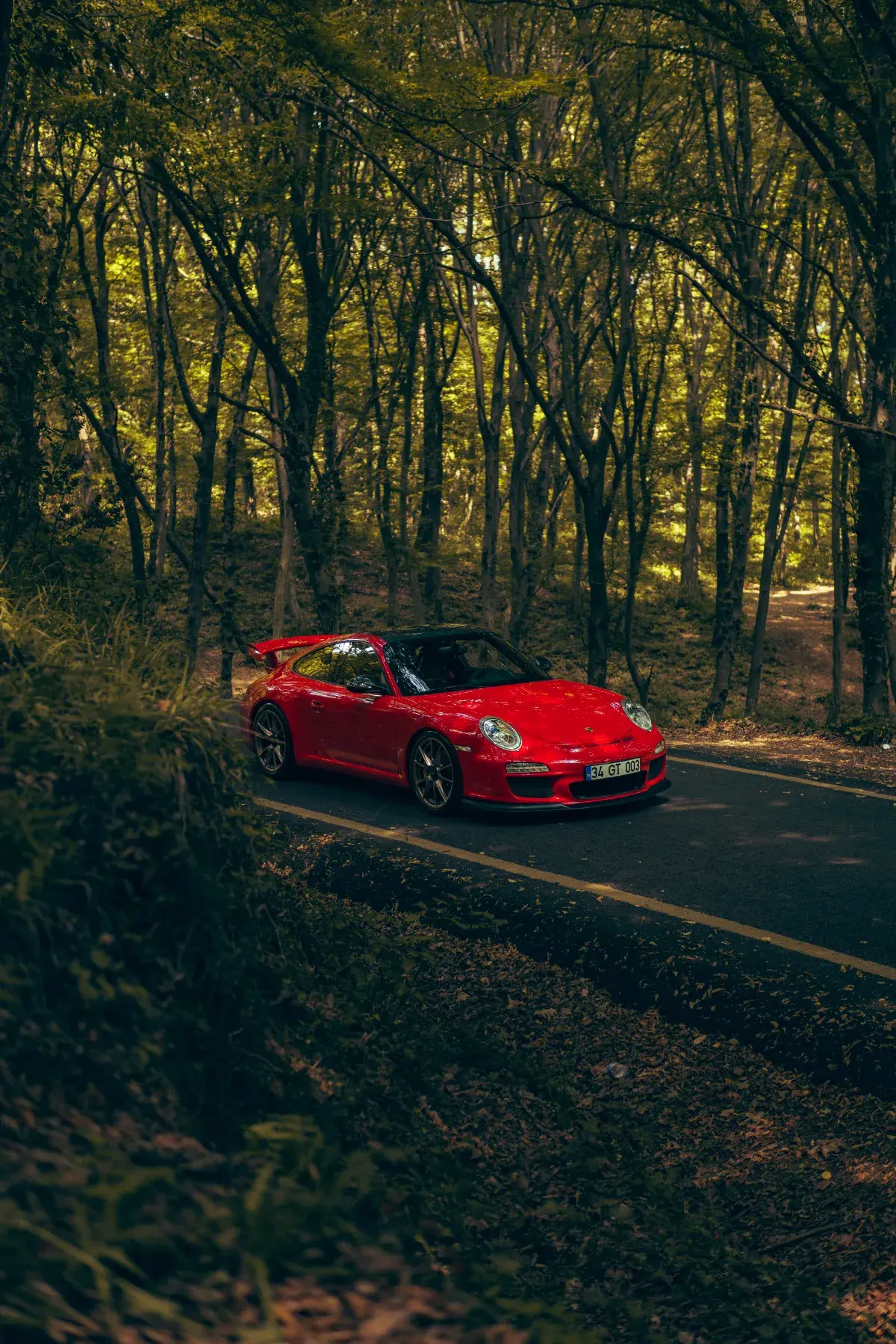 Kırmızı Porsche GT3 orman yolunda